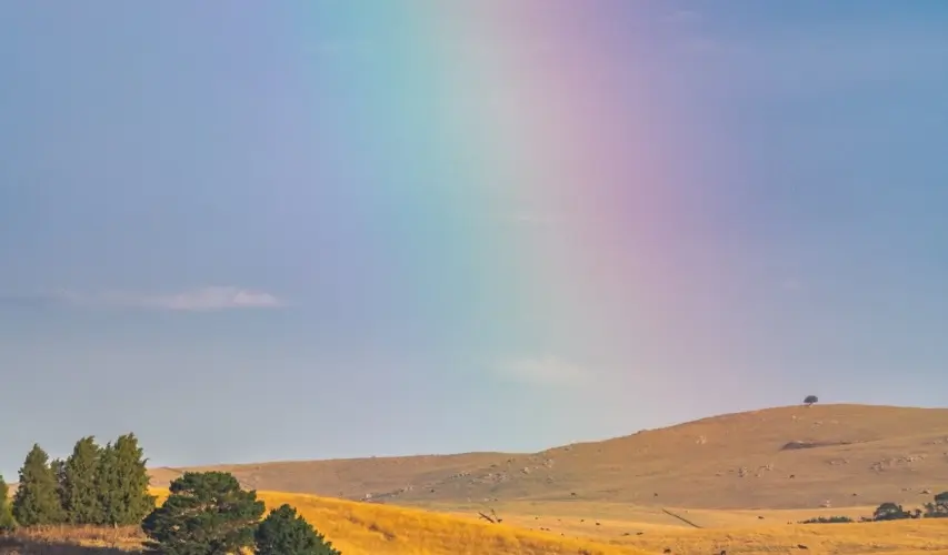 rural rainbow